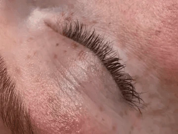 lash tint service